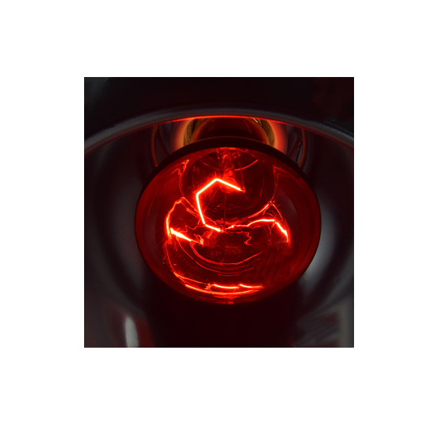 لامپ مادون قرمز 100 وات نور