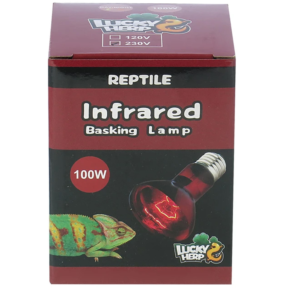 لامپ مادون قرمز ۱۰۰ وات لاکی هرپ