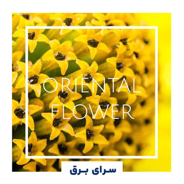 خرید اسانس خوشبو کننده هوا اورینتال (Oriental Flower)