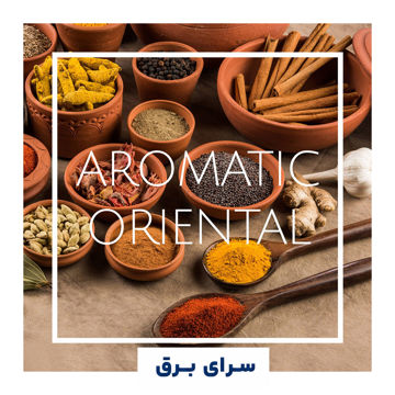 خرید اسانس خوشبو کننده هوا رایحه های شرقی (Aromatic Oriental)