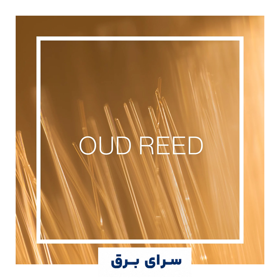 خرید اسانس خوشبو کننده هوا عود رید (Oud Reed)