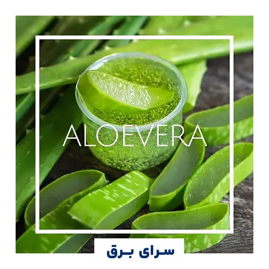 خرید اسانس خوشبو کننده هوا آلوئه ورا (Aloe Vera)